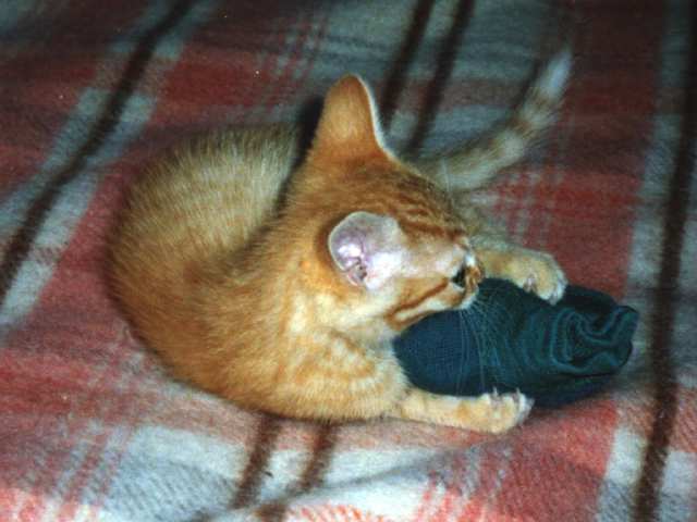 Un rien l'amuse !
