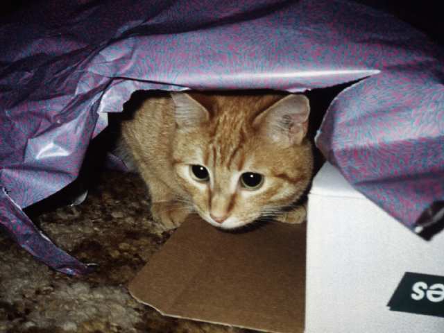 Un papier cadeau suffit !