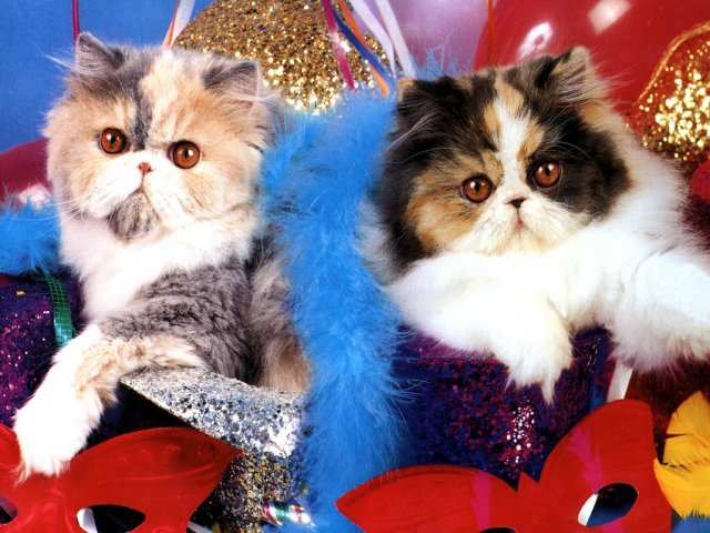 C'est le carnaval !